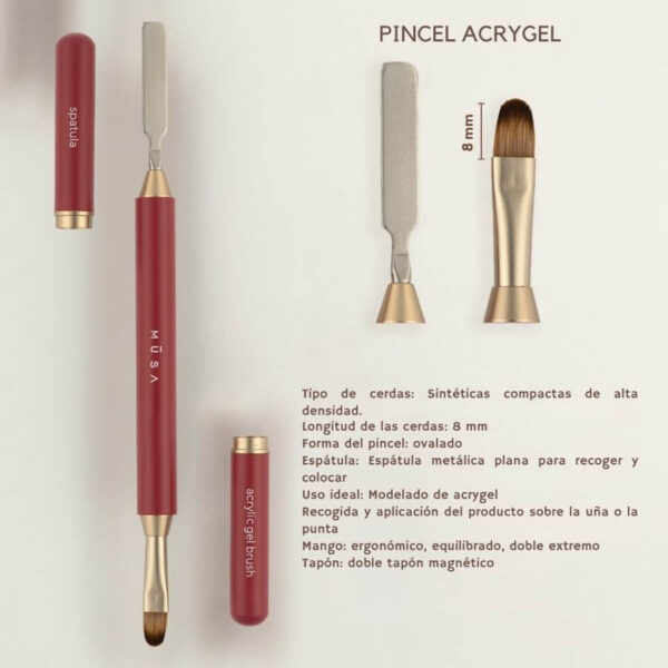pincel-doble-acryge-oval-8-mm-espatula-tapa-magmetica PINCEL OVAL 8 ACRYGEL