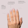 TIPS SOFT GEL NATURAL COFFIN CORTA BLUSH